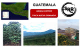 Guatemala, Nueva Granada Geisha - 12 oz bag